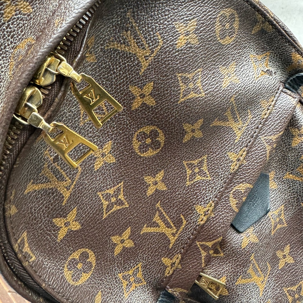 Louis Vuitton Monogrammed Palm Springs PM - Picture 4 of 16